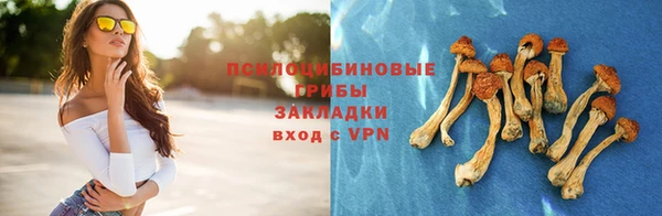 дурь Абинск