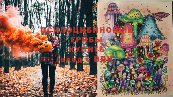 бошки Абдулино